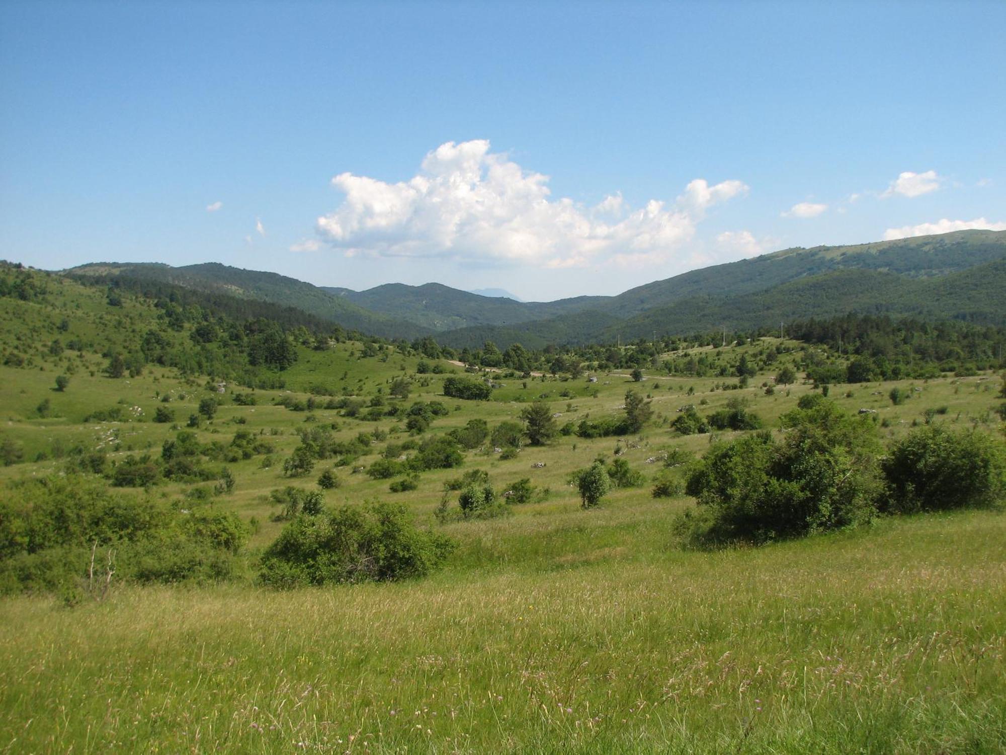 Guest House Pod Slavnikom Podgorje  エクステリア 写真